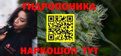 гидра Новокубанск