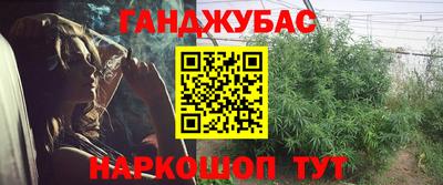 герыч Новодвинск