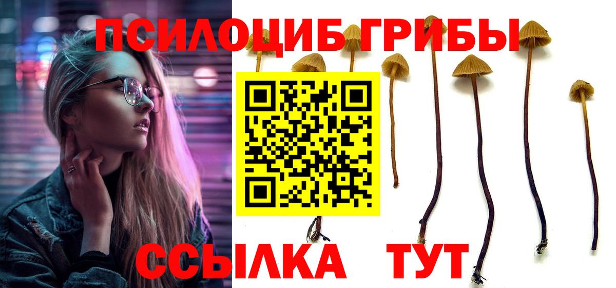 Трёхгорный  Галлюциногенные грибы мицелий  Вход с VPN 